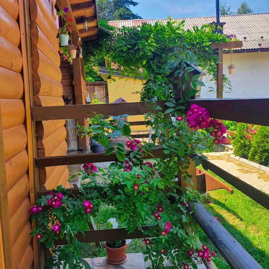 Apartment Little Paradise Високо Екстериор снимка