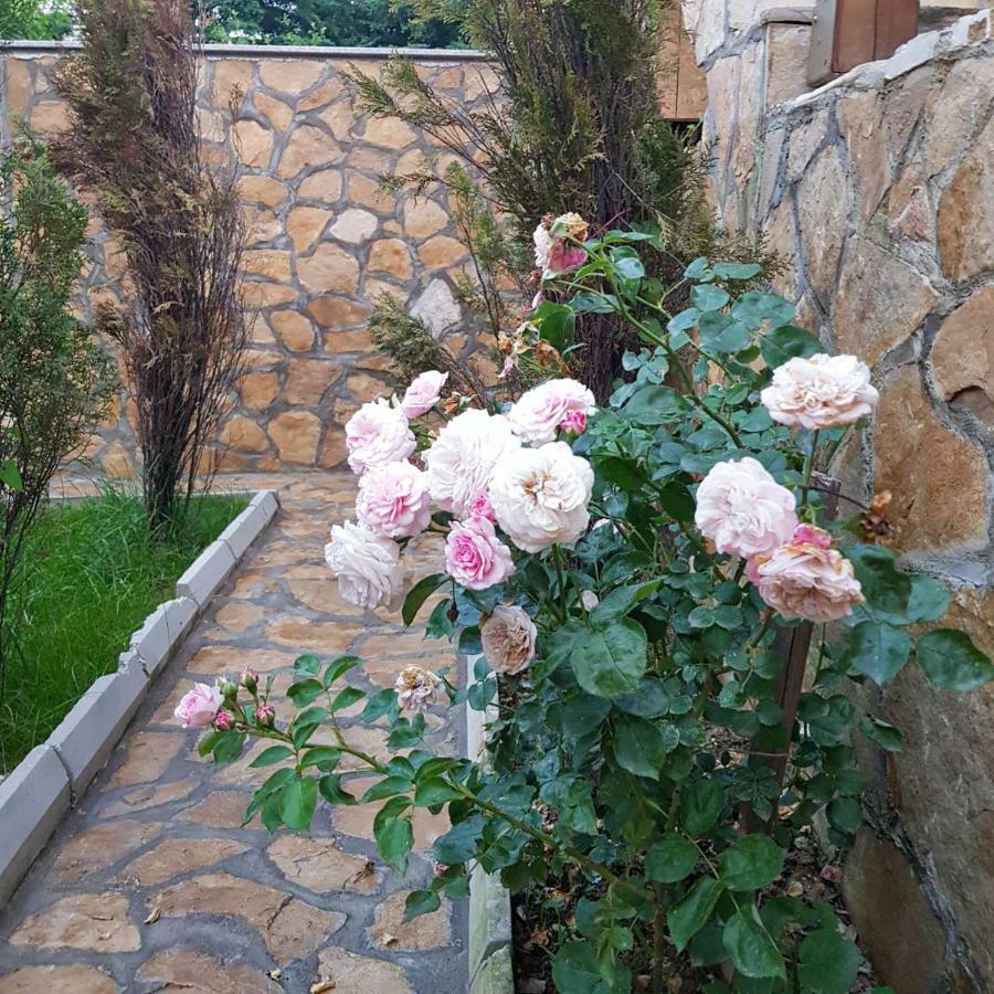 Apartment Little Paradise Високо Екстериор снимка