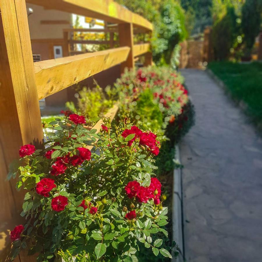 Apartment Little Paradise Високо Екстериор снимка