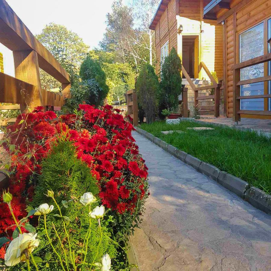 Apartment Little Paradise Високо Екстериор снимка
